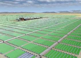 Campos de cultivo de microalgas