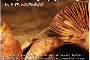 Cartaz das xornadas micolóxicas Cartaz das xornadas micolóxicas