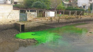 Un fluído pastoso tinxiu de cor verde o río Miñor - Foto: PSOE Nigrán