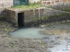 Zona de verquido de augas fecais na ponte románica da Ramallosa