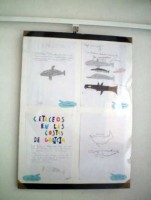 expo-baiona