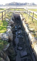 Canalización de augas pluviais en Sabarís vertendo augas fecais na Foz do Miñor