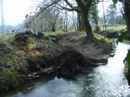 A limpeza dos ríos de Gondomar desperta polémicas no concello.