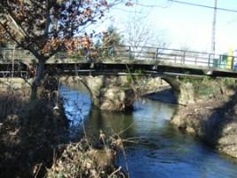ponte maufe