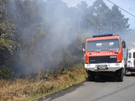 Sofocado incendio en Borreiros