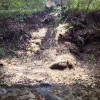 Tarefas de limpeza no rio Zamáns